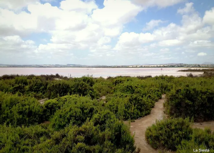 La Siesta Appartamento *